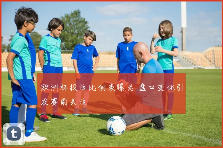 欧洲杯投注比例表曝光 盘口变化引发赛前关注