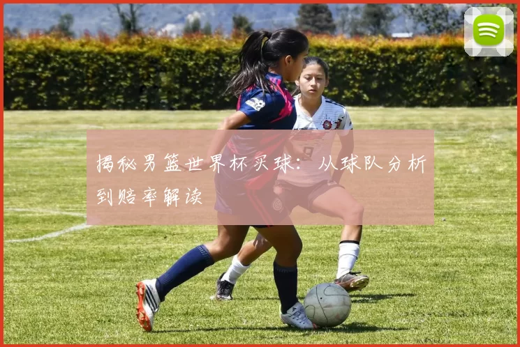 揭秘男篮世界杯买球:从球队分析到赔率解读