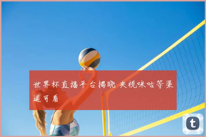 世界杯直播平台揭晓 央视咪咕等渠道可看