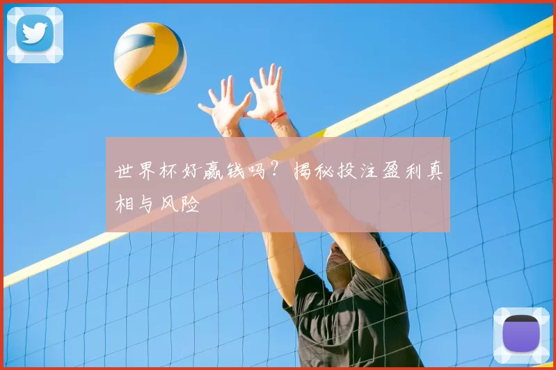 世界杯好赢钱吗？揭秘投注盈利真相与风险