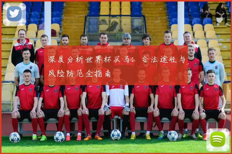 深度分析世界杯买马:合法途径与风险防范全指南