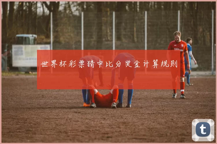 世界杯彩票猜中比分奖金计算规则