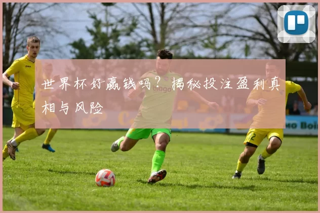 世界杯好赢钱吗?揭秘投注盈利真相与风险