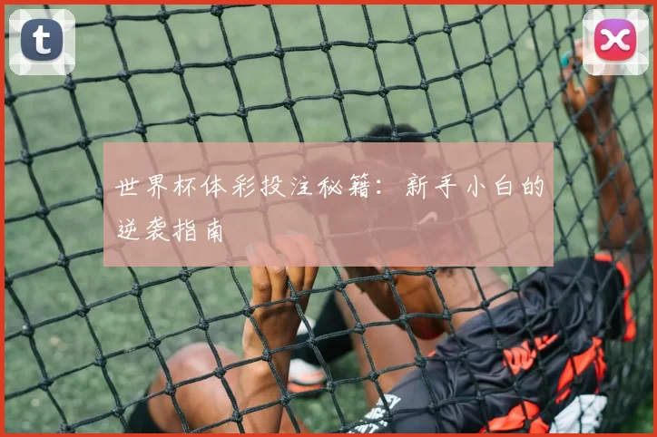 世界杯体彩投注秘籍:新手小白的逆袭指南