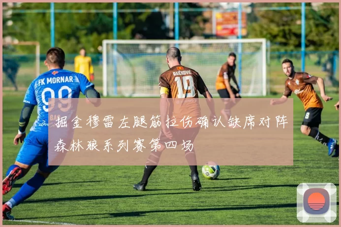 掘金穆雷左腿筋拉伤确认缺席对阵森林狼系列赛第四场