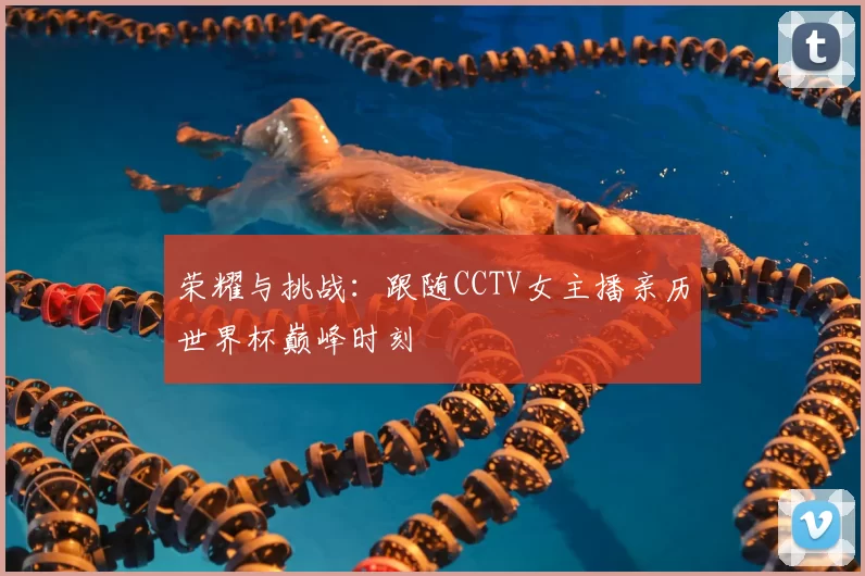 荣耀与挑战:跟随CCTV女主播亲历世界杯巅峰时刻