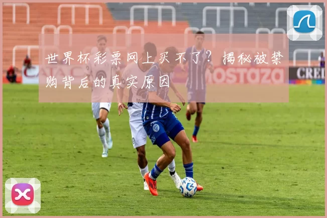 世界杯彩票网上买不了？揭秘被禁购背后的真实原因