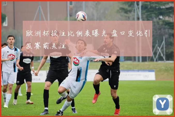 欧洲杯投注比例表曝光 盘口变化引发赛前关注