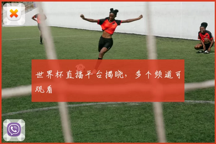 世界杯直播平台揭晓，多个频道可观看