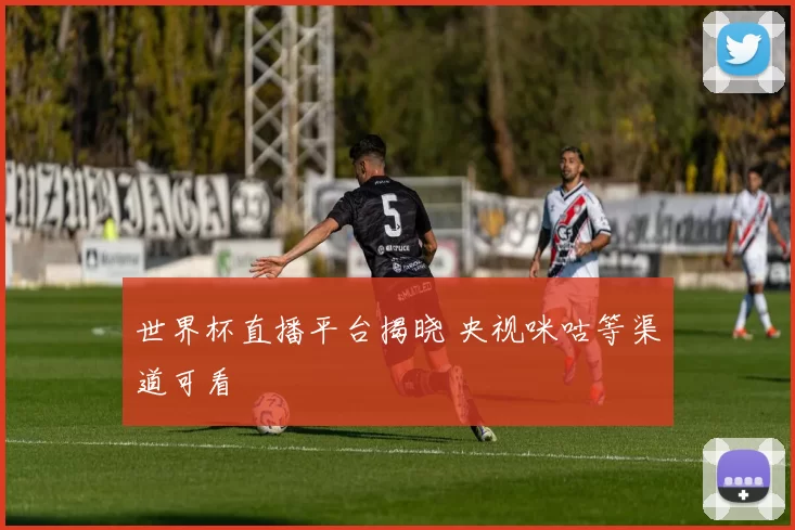 世界杯直播平台揭晓 央视咪咕等渠道可看