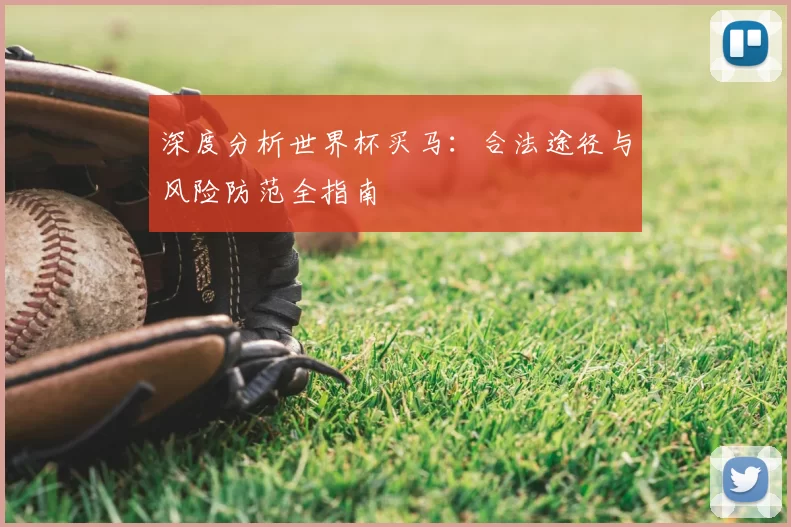 深度分析世界杯买马:合法途径与风险防范全指南