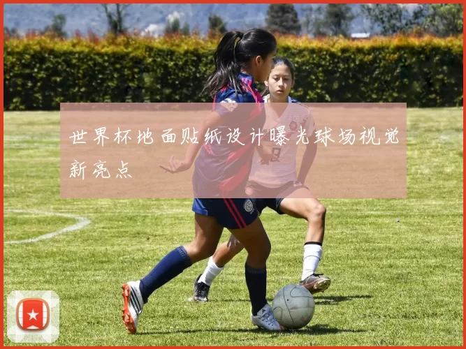 世界杯地面贴纸设计曝光球场视觉新亮点