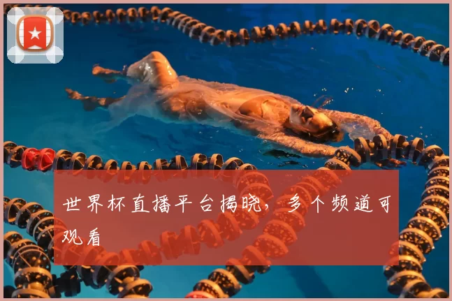 世界杯直播平台揭晓,多个频道可观看