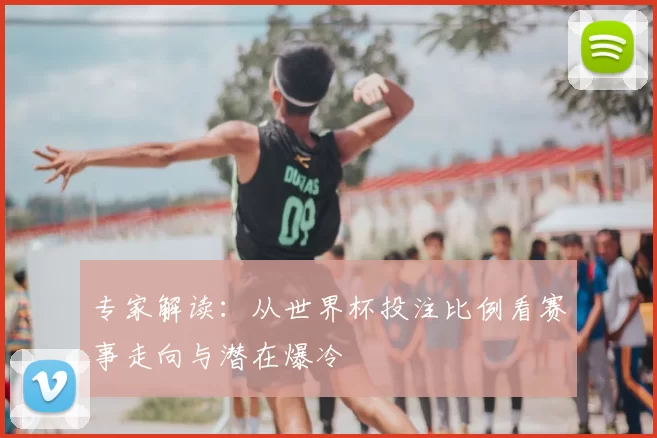 专家解读：从世界杯投注比例看赛事走向与潜在爆冷