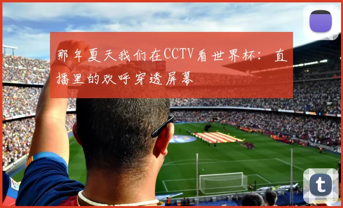 那年夏天我们在CCTV看世界杯:直播里的欢呼穿透屏幕