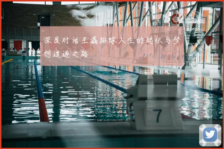深度对话王磊排球人生的起伏与梦想追逐之路