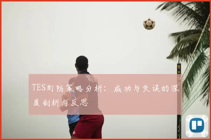 TES盯防策略分析:成功与失误的深度剖析与反思