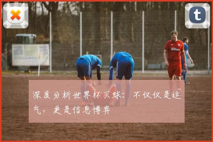 深度分析世界杯买球：不仅仅是运气，更是信息博弈